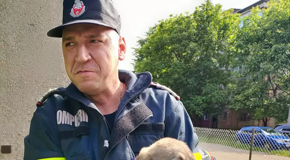 Patru căţeluşi au fost salvaţi de pompierii din Hunedoara, după ce au căzut într-un canal