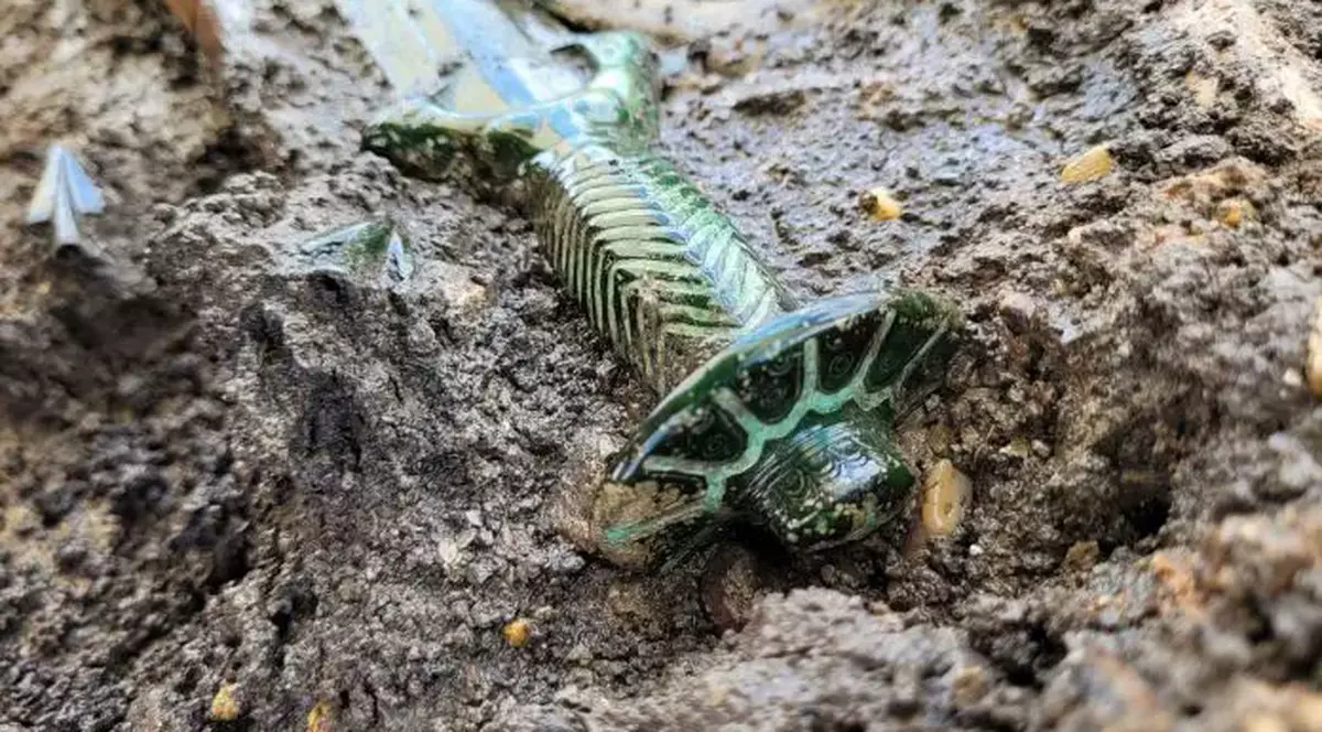 O sabie veche de 3.000 de ani, perfect conservată, descoperită în sudul Germaniei