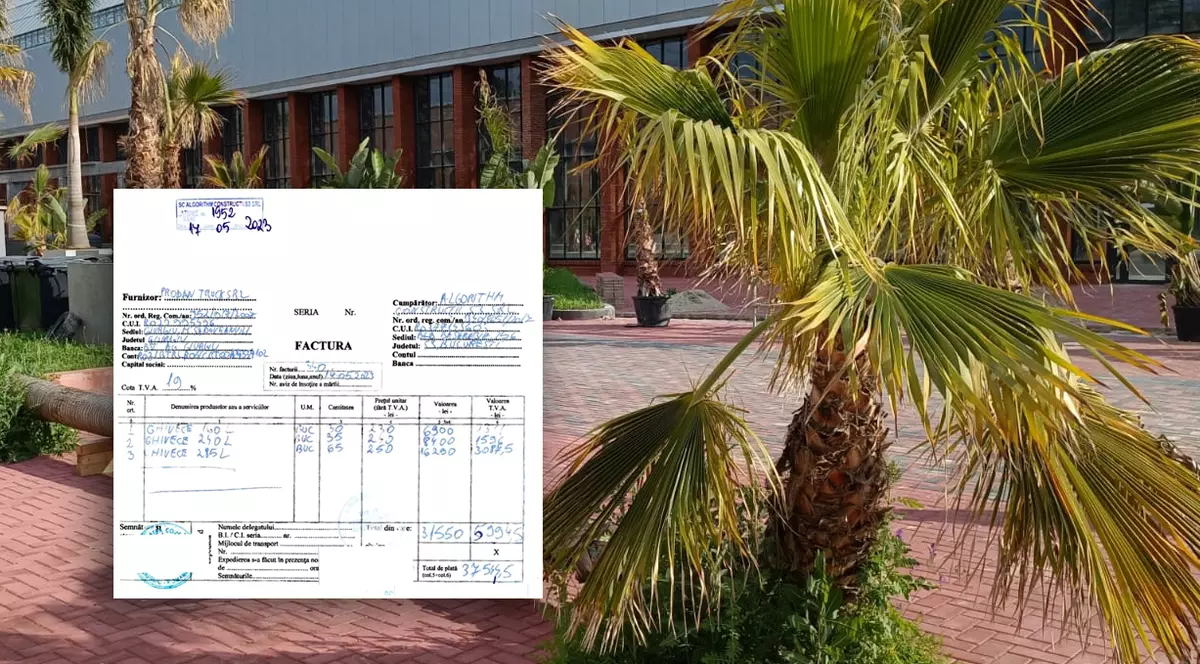 INVESTIGAȚIE. În plină nemulțumire socială, facturile arată cum statul cheltuiește 100.000 de euro pe palmieri și ghivece de la o firmă de partid