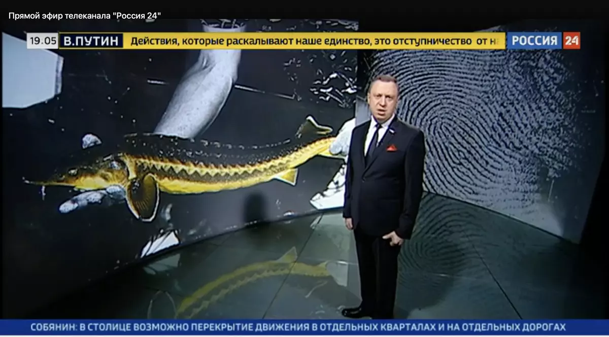 Ce au văzut rușii la televizor în timpul rebeliunii Wagner: linia Kremlinului, multe reclame și un documentar despre caviar