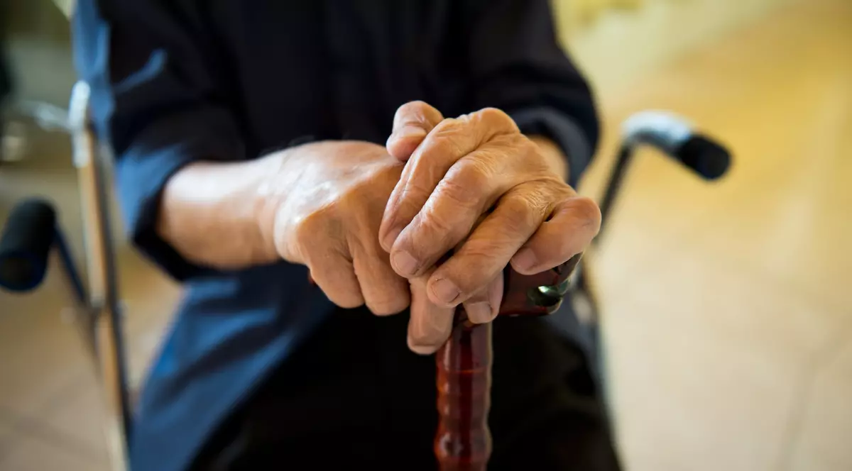 Ceea ce s-a întâmplat în azilele groazei din Voluntari e doar un episod al poveștii. Restul se petrece peste tot, printre noi