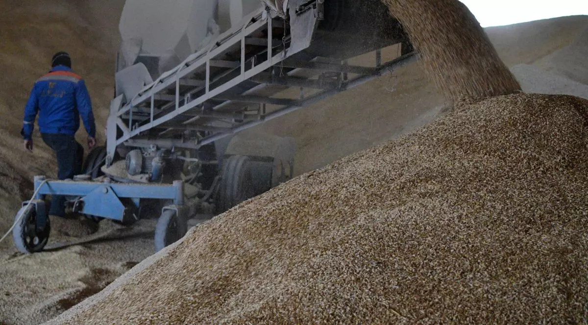 SUA colaborează cu România și Republica Moldova pentru a mări cantitatea de cereale ucrainene exportate pe Dunăre, spune un oficial american