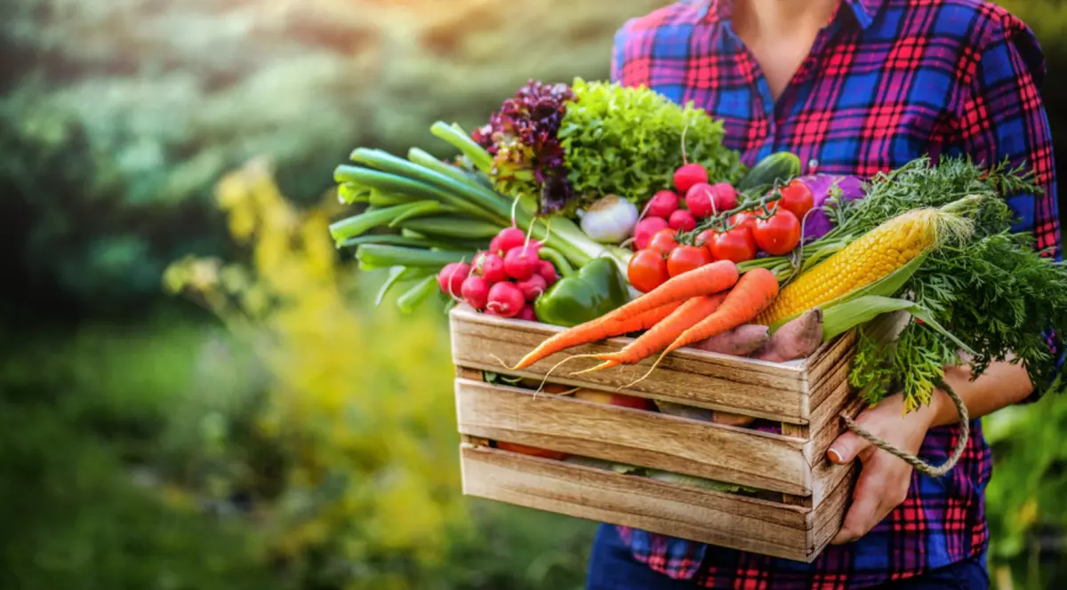 Fructele și legumele lunii Iulie. Ce fructe și legume se pot consuma în luna iulie
