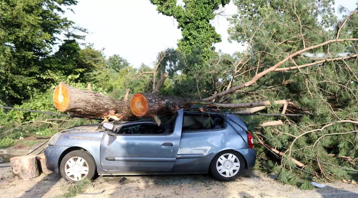 Furtună violentă în Croația. Trei oameni au murit. „Aproape că nu există stradă din Zagreb care să nu fi suferit consecințele vântului devastator”