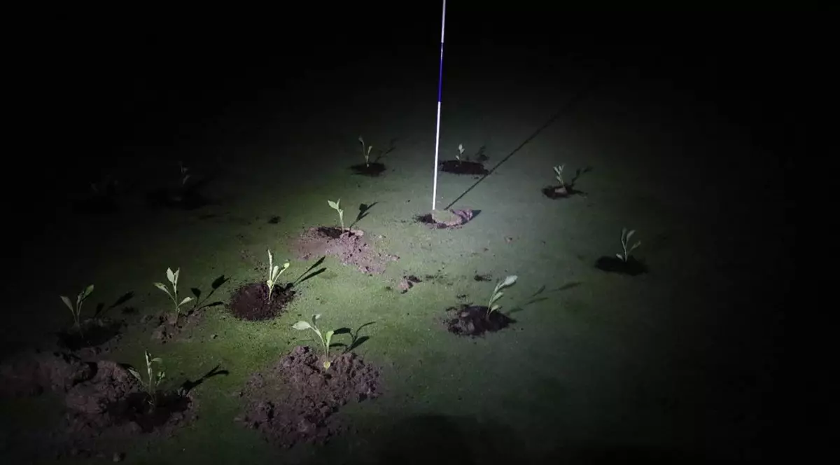 Activiștii pentru climă au umplut cu ciment găurile și au plantat răsaduri pe terenurile de golf din Spania