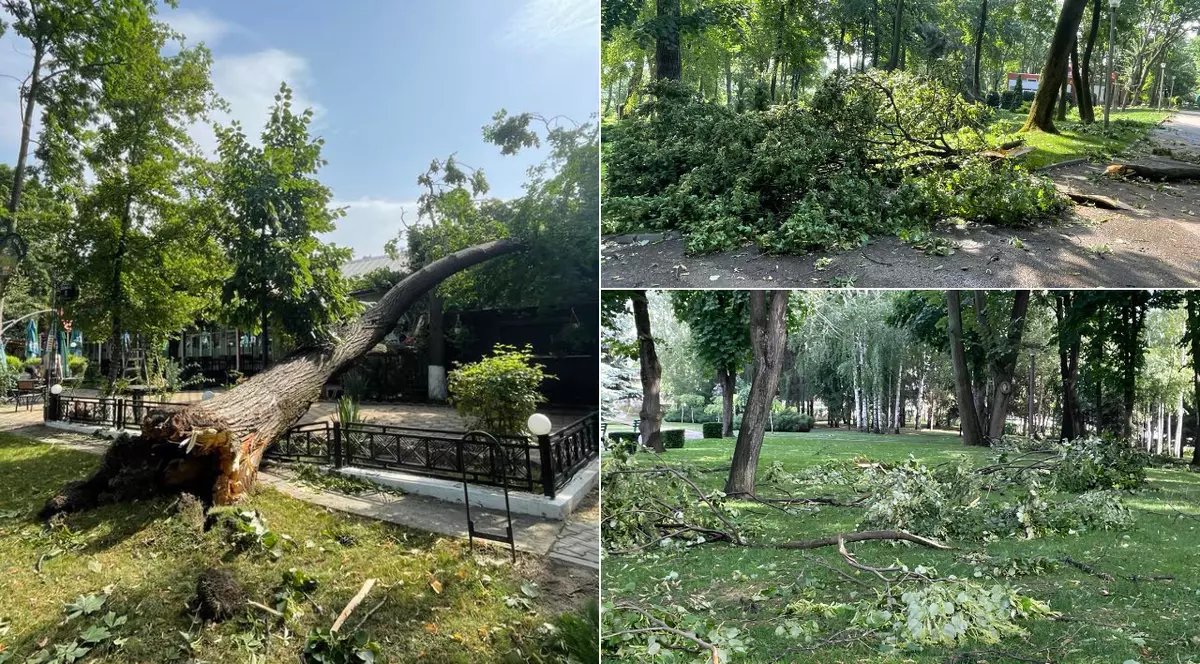 Cum arată Parcul Copou din Vaslui după ce a fost lovit de o furtună violentă. Copaci de 10 metri înălțime, smulși din rădăcină 