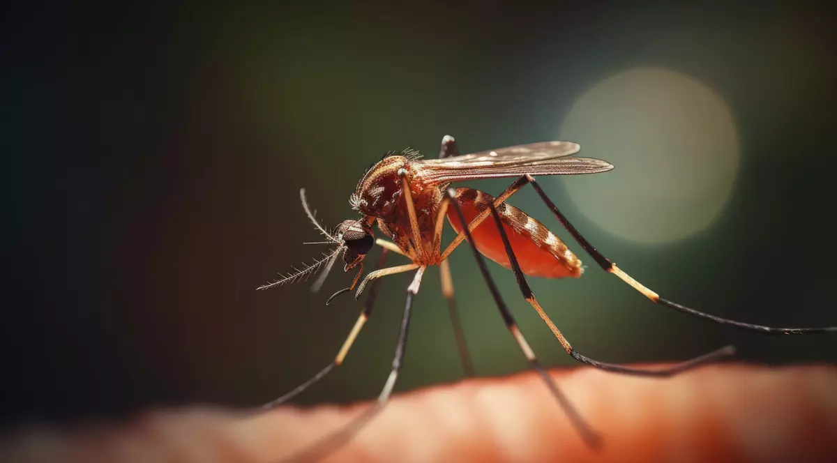 Virusul West Nile, transmis prin înțepătura țânțarilor, a ucis trei români, în doar o săptămână