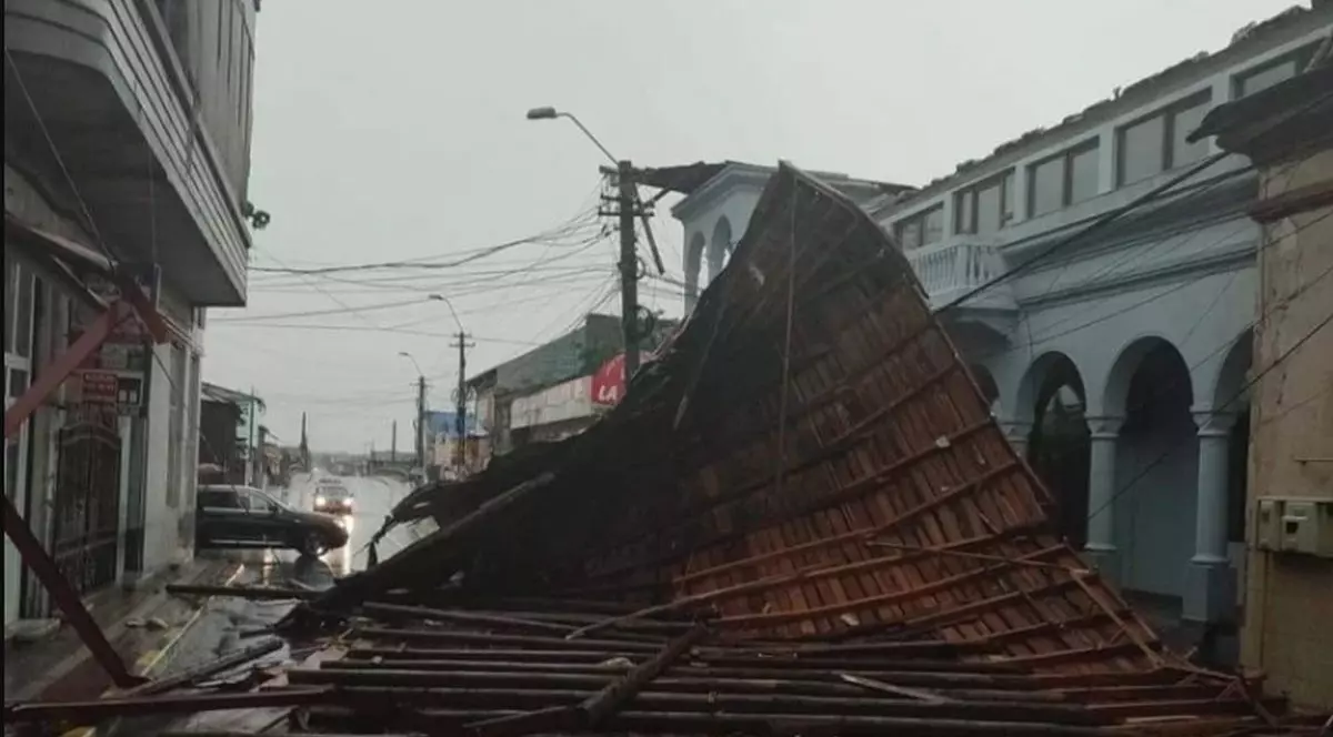 Furtunile au făcut prăpăd în mai multe județe din țară: animale electrocutate, copaci căzuți peste mașini și acoperișuri luate de vânt. FOTO