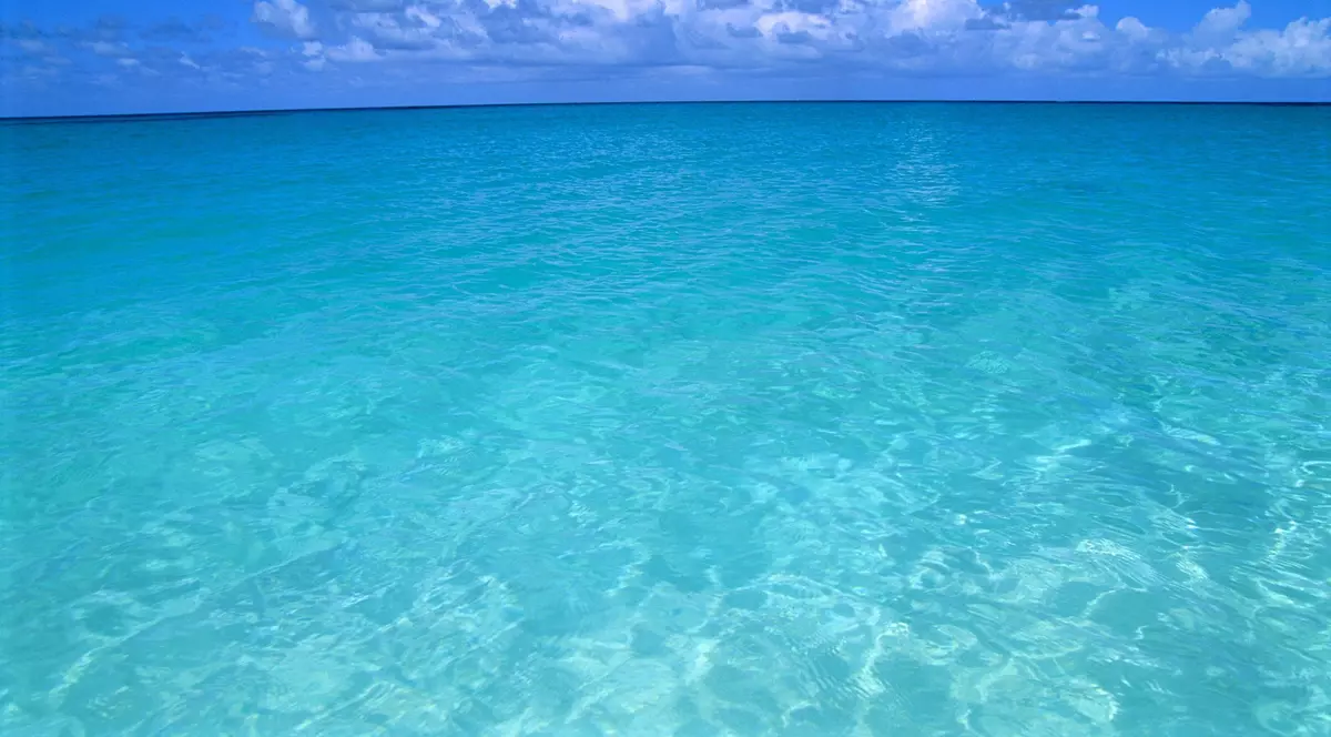 Suprafața oceanelor înregistrează cea mai mare temperatură măsurată vreodată. Ce spun oamenii de știință