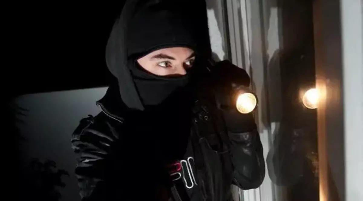 Germanul care l-a rupt cu bătaia pe hoțul român prins la furat în casa lui a fost condamnat de un tribunal elvețian