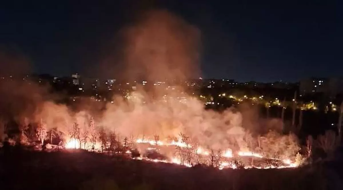 Incendiu puternic în Parcul IOR din București. Au ars 4.000 de metri pătrați de vegetație