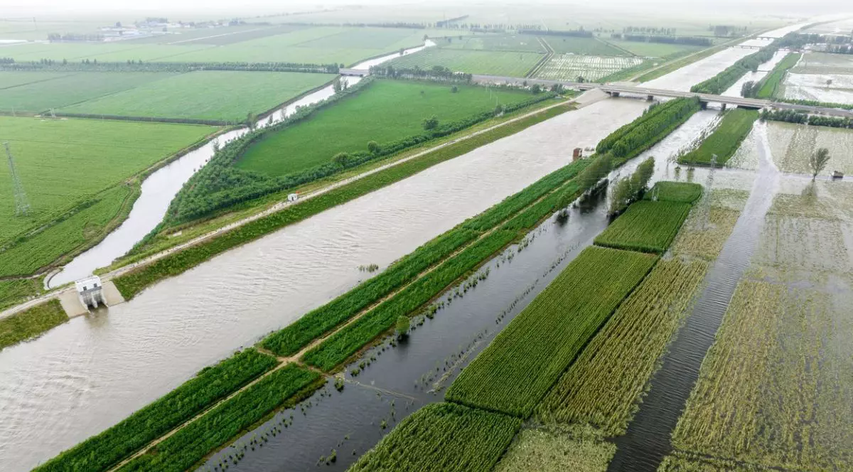 Îngrijorări privind securitatea alimentară a Chinei din cauza inundațiilor din principala regiune producătoare de cereale a țării