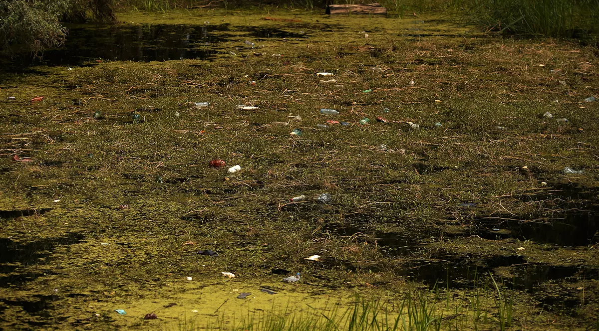 Măsurile dispuse de Garda de Mediu Tulcea, după ce Libertatea a scris că pe canalele din Lunca Dunării sunt mai multe gunoaie decât păsări. Foto: Dumitru Angelescu / Libertatea