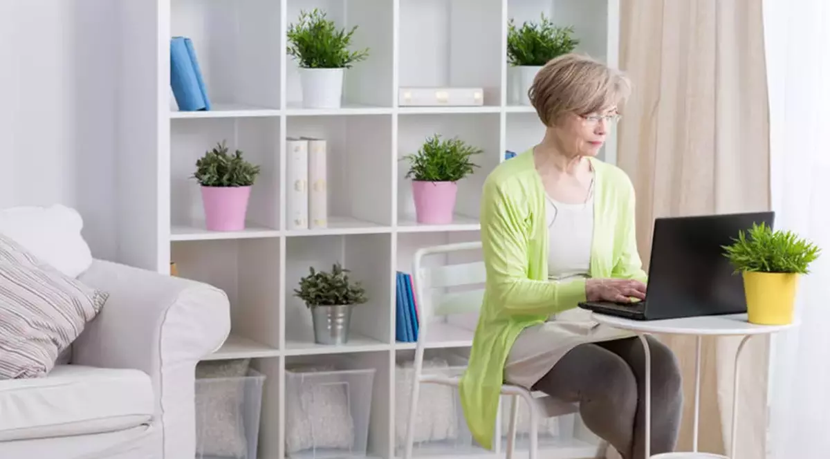 Plante de apartament care purifică aerul din locuința ta