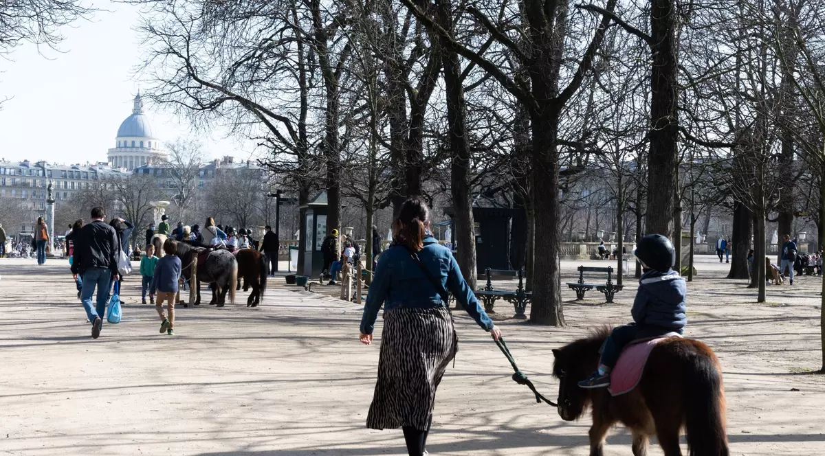 Plimbările cu ponei pentru copii, interzise în Paris. Decizia, luată în urma unei campanii pentru drepturile animalelor