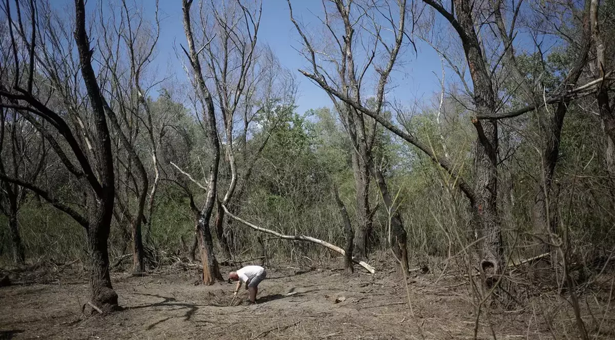 O altă dronă, căzută pe teritoriul României lângă malul drept al Brațului Chilia, anunță MApN: „Crater de dronă, cu posibilă explozie la impact”