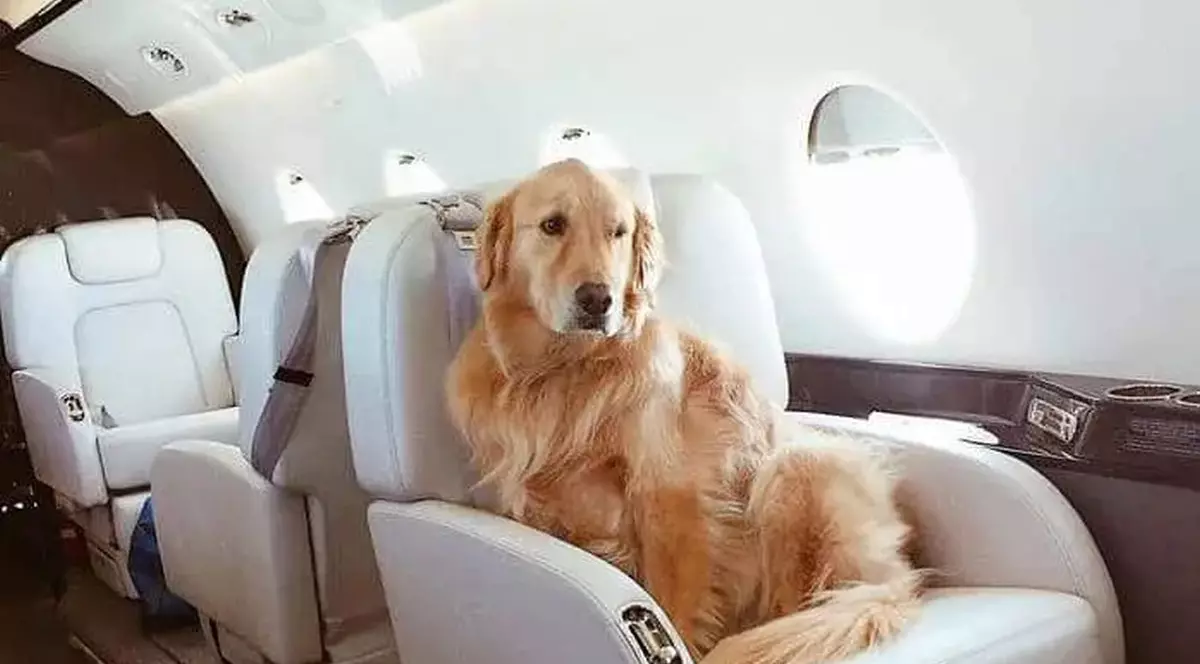 Foto: flylibrajet.com