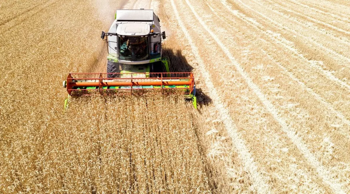 Polonia, Ungaria și Slovacia au menținut interdicția asupra importurilor de cereale ucrainene. Sursa: Profimedia