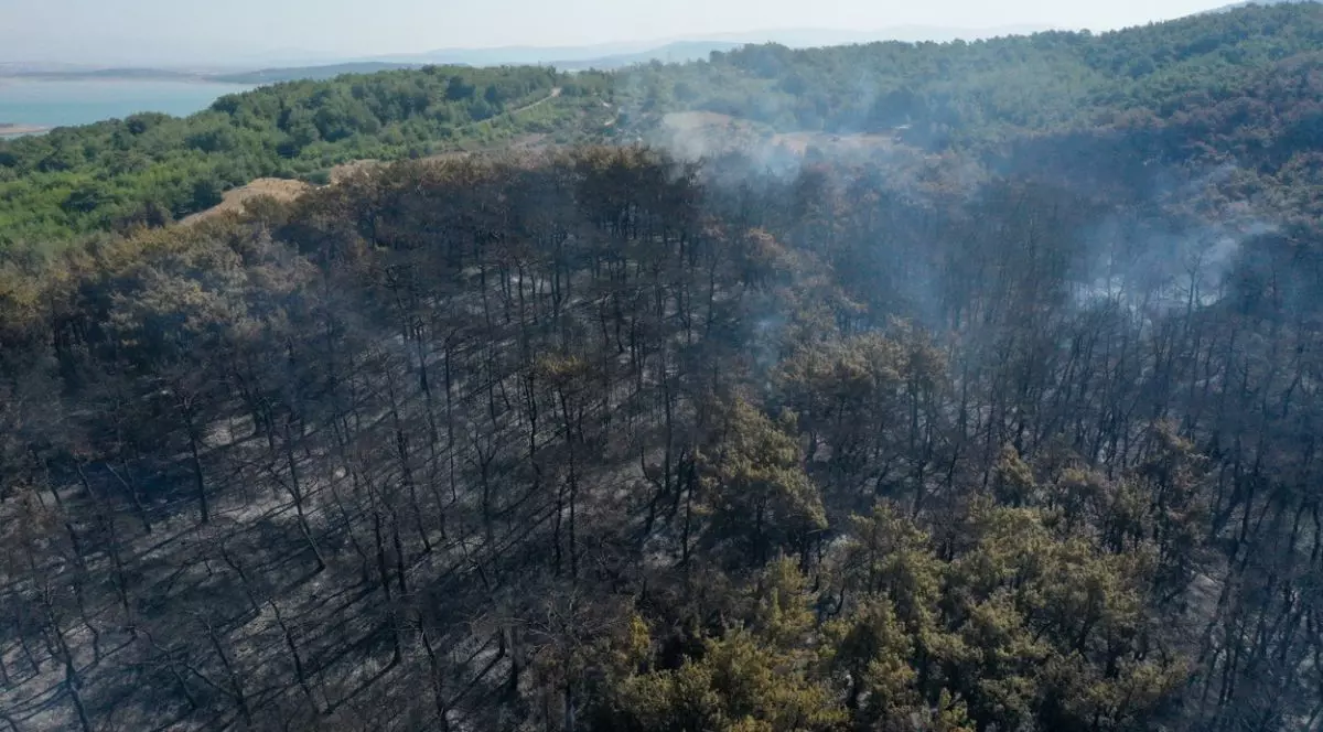 Trei oameni au murit după ce un elicopter care intervenea la stingerea unor incendii s-a prăbușit în Turcia