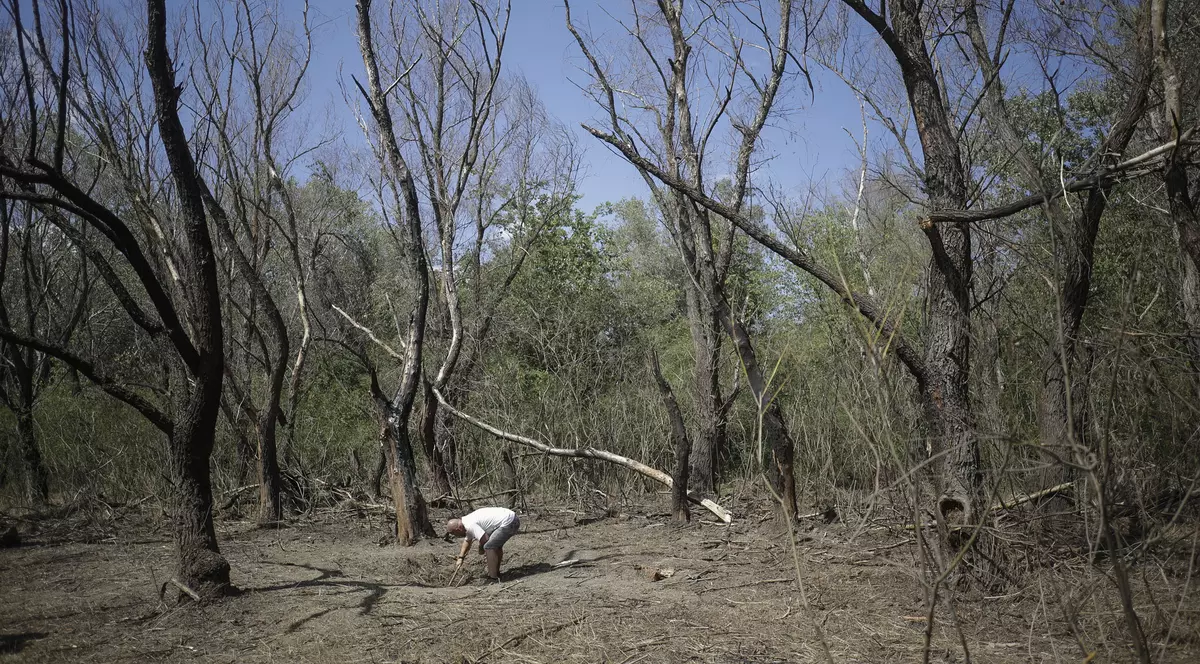 Noi măsuri la granița cu Ucraina: locuitorii, avertizați cu mesaje Ro-Alert când sunt atacuri cu drone în zonă