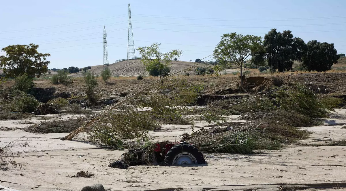 Un băiat de 10 ani a stat opt ore într-un copac pentru a scăpa de inundațiile din Spania