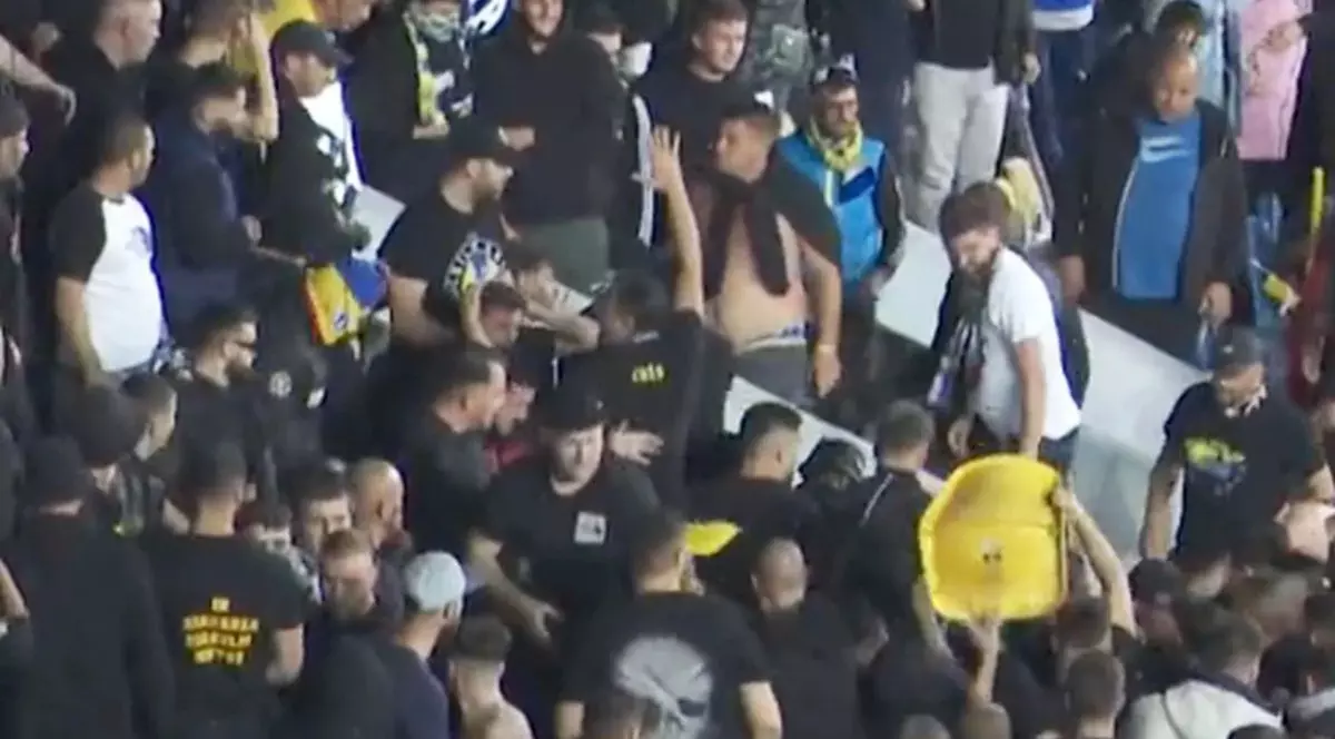 Bătaie generală în tribune la meciul Petrolul - FCSB. Un jandarm a fost rănit | VIDEO