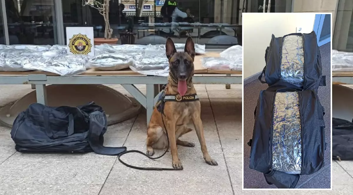 Trei șoferi români de autocar, arestați în autogara din Alicante, când încărcau bagajele călătorilor pe care îi aduceau în țară