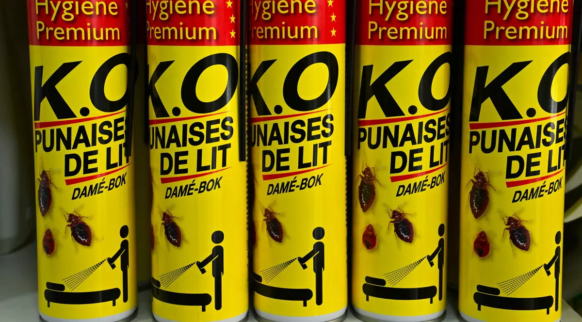 Ministrul francez al transporturilor trimite câini dresați să depisteze ploșnițele de pat, deși spune că „nu există niciun focar în transportul public”