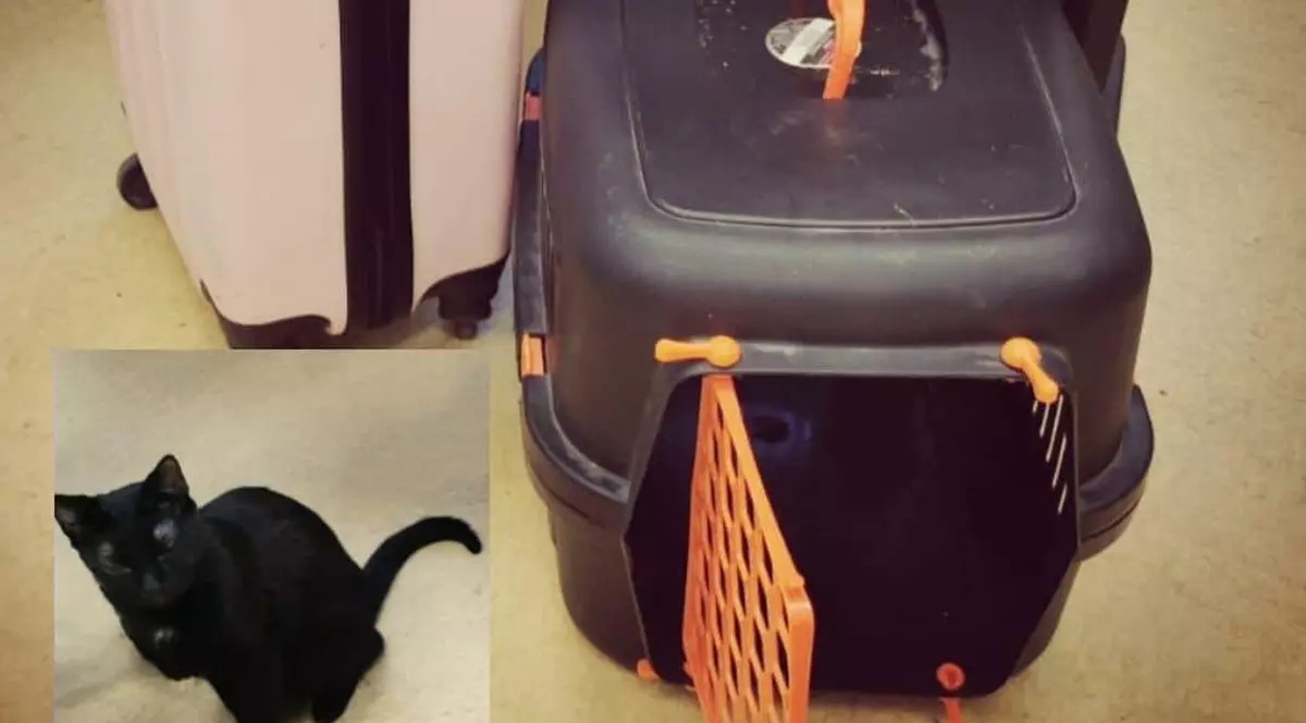 Poliția Capitalei caută proprietarul unui troller și al unei pisici negre, găsite pe Calea Victoriei