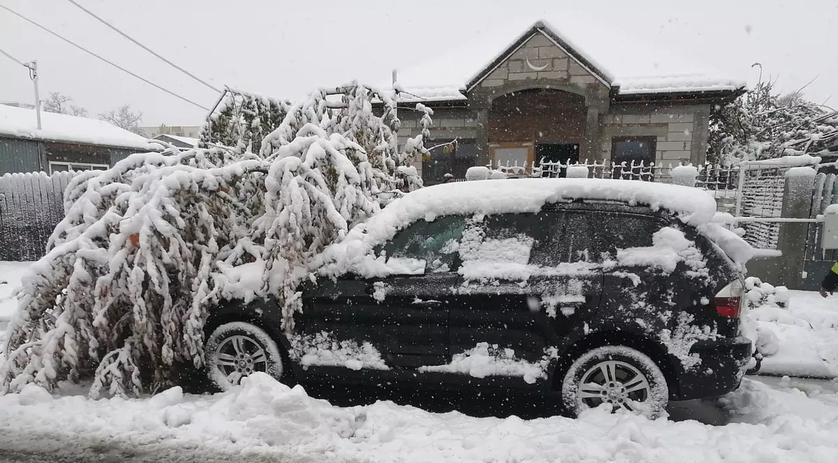 Șefa ANM, Elena Mateescu, avertisment despre vremea din următoarele zile: de marți, ninsori și precipitații mixte în toată țara