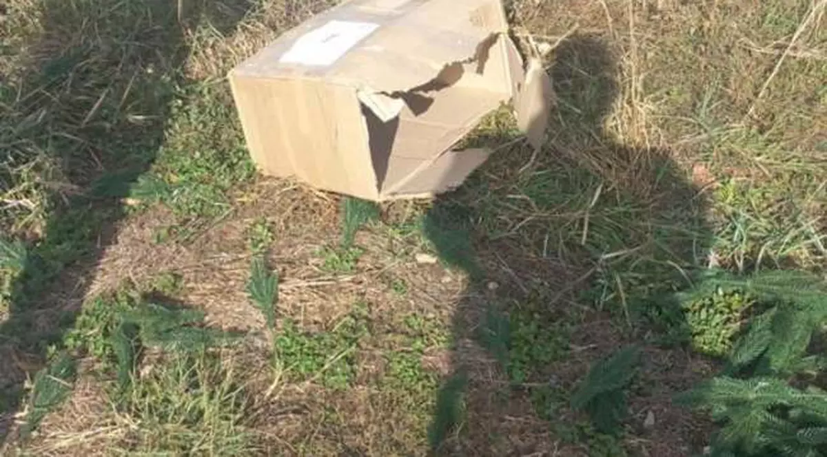 Un arădean a sunat la 112 după ce a primit un colet „suspect” de la curier. Ce se afla în pachet