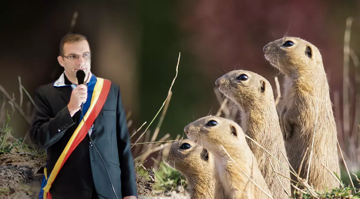 Primarul și rezervația de popândăi. Investiție sau exterminare?