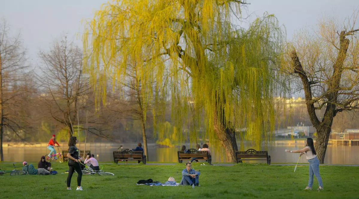 Percheziţii DNA pentru fraude cu terenuri ale statului în Herăstrău. Prejudiciul, 10 milioane de euro