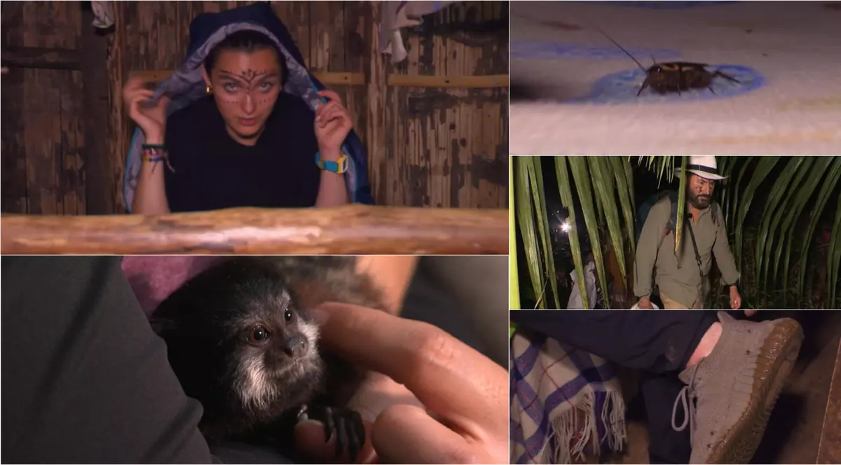 Echipele de la „America Express” 2023, experiență inedită în jungla amazoniană. „Era plin de insecte în cabană”