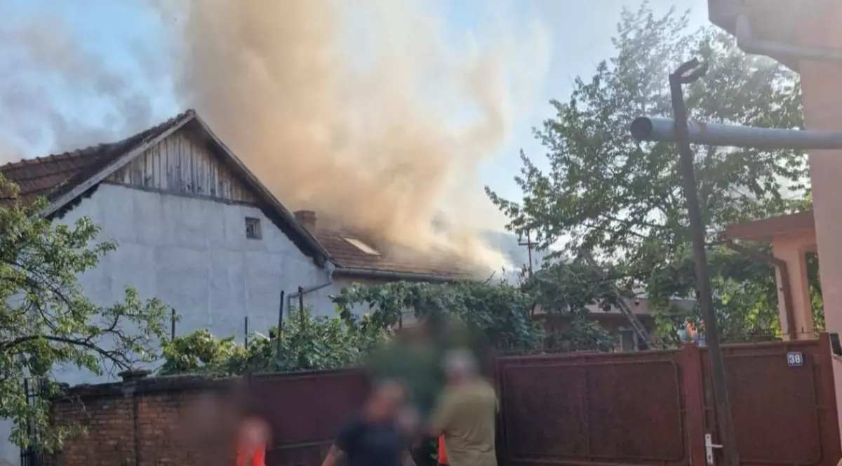 O femeie din Sebiș a dat foc la gospodăriile vecinilor pentru a urmări intervenția pompierilor