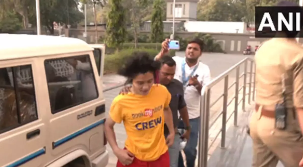 Un tiktoker australian a pătruns pe teren şi a întrerupt finala Cupei Mondiale de crichet din India: „Stop bombardării Palestinei”. Tânărul a fost arestat