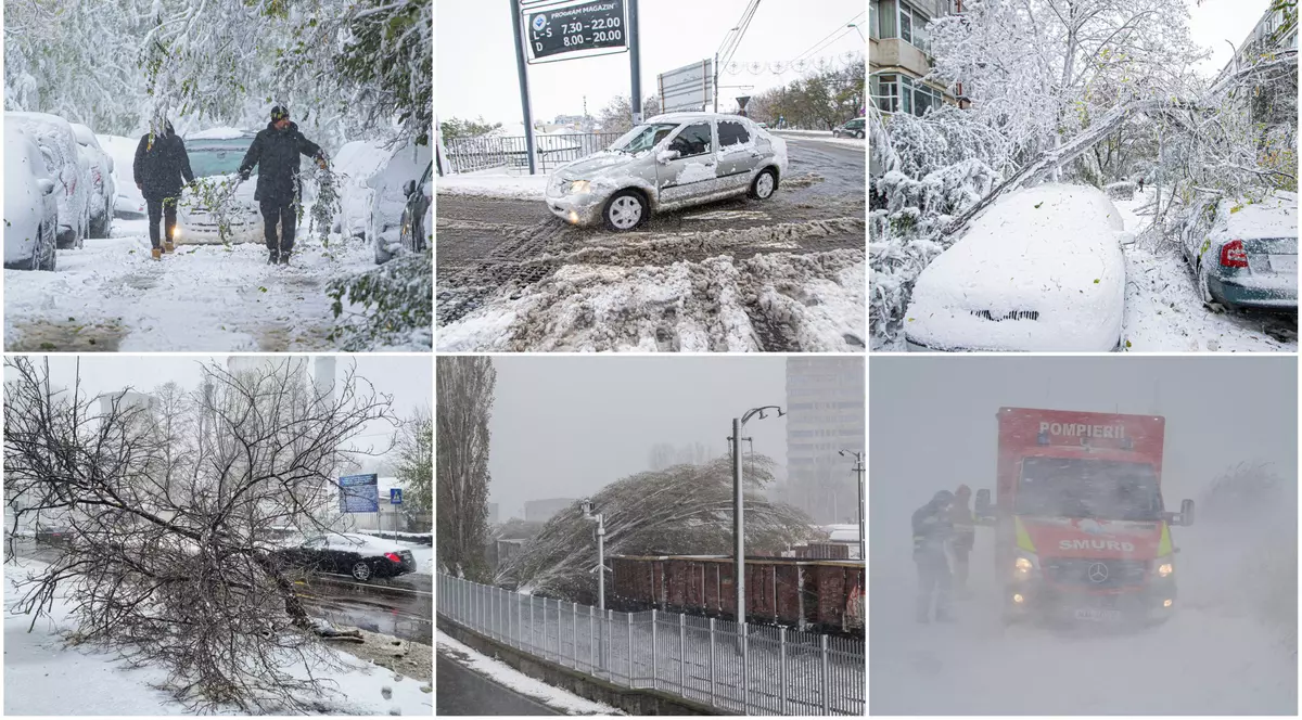 FOTO ISU Constanța, Inquam Photos/Costin Dinca, Daniel Stoenciu, Ovidiu Iordachi