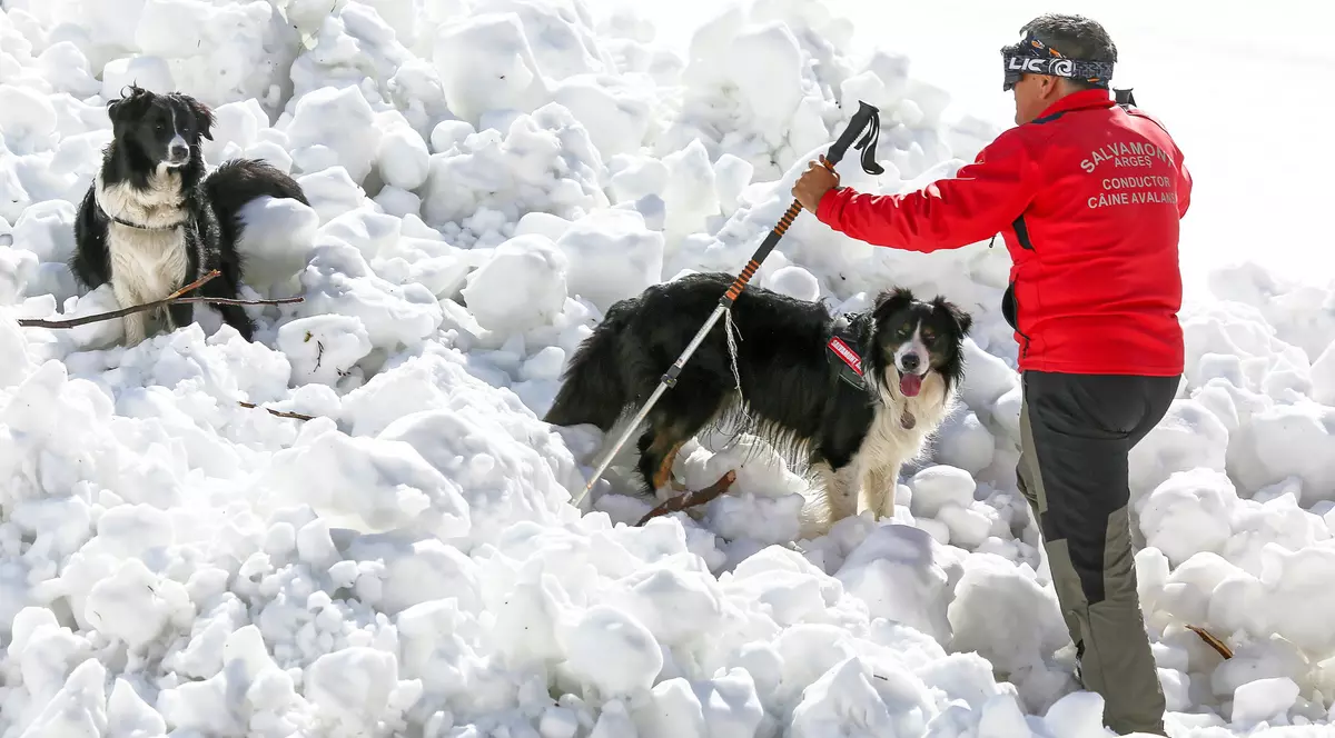 Salvamont România: 60 de persoane au fost salvate în ultimele 24 de ore
