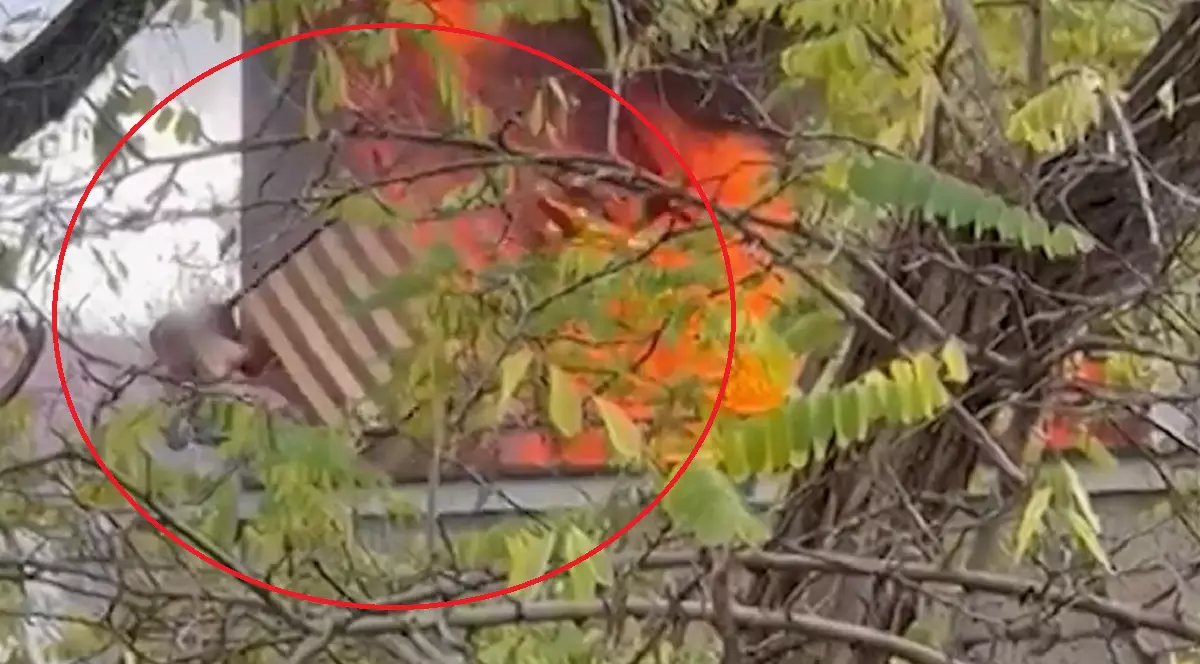 Un tânăr a sărit de la balcon cu tot cu patul de care era legat cu cătușe, când i-a luat casa foc, în Germania. Iubita lui a fost arestată