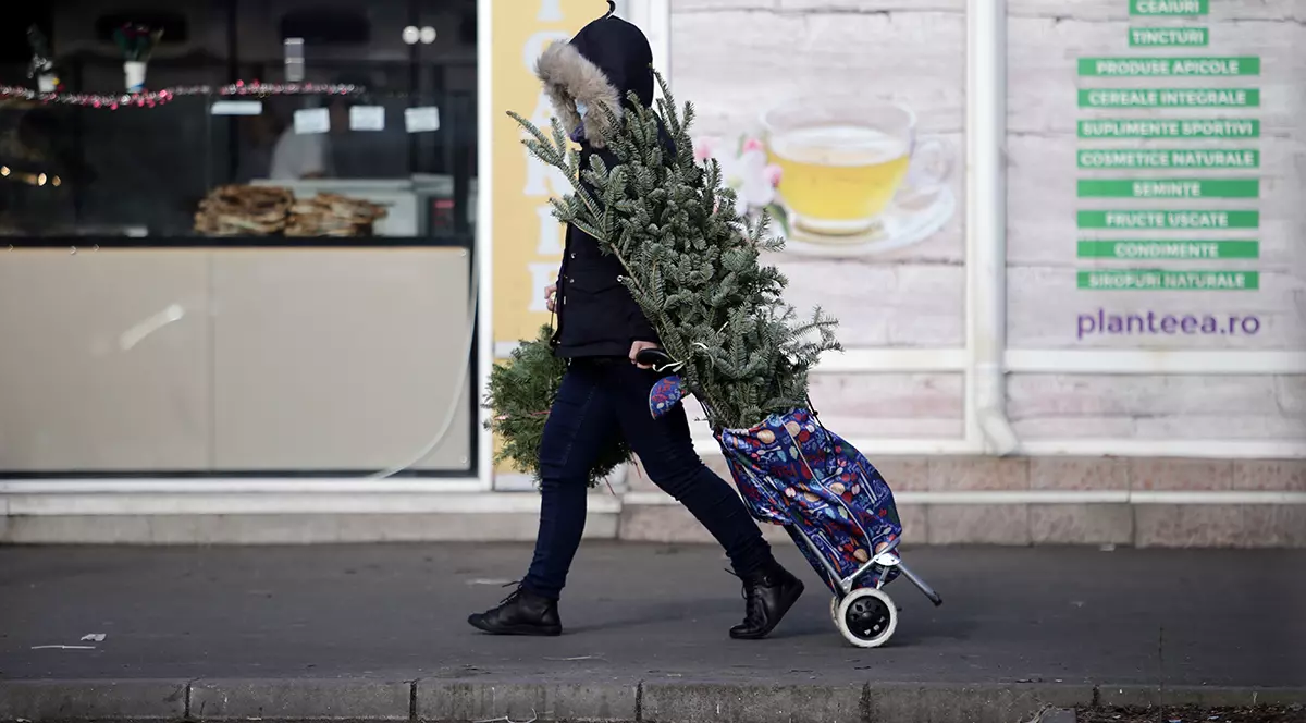 Un Crăciun surprinzător de călduros. Temperaturile au ajuns chiar și la 21 de grade în anumite zone