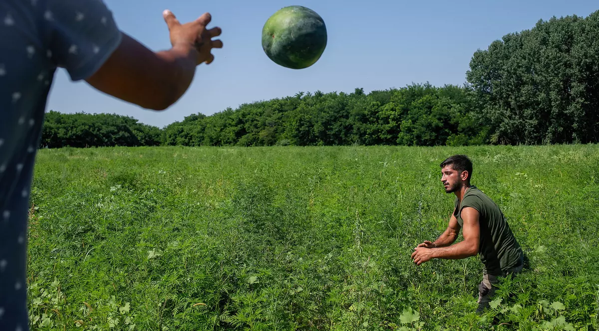 Fotografii de Petruț Călinescu