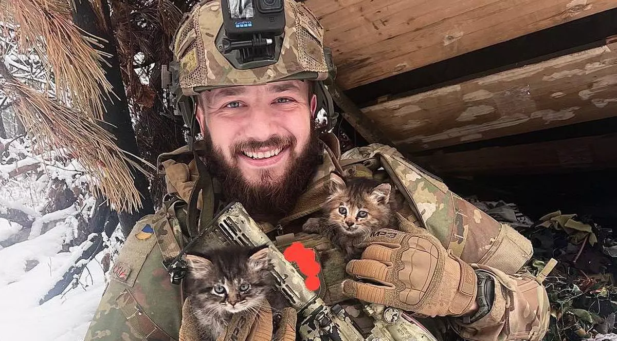 Soldații ucraineni aduc pisici pe front, ca să-i scape de șoareci: „Ne-au salvat viața de mai multe ori”