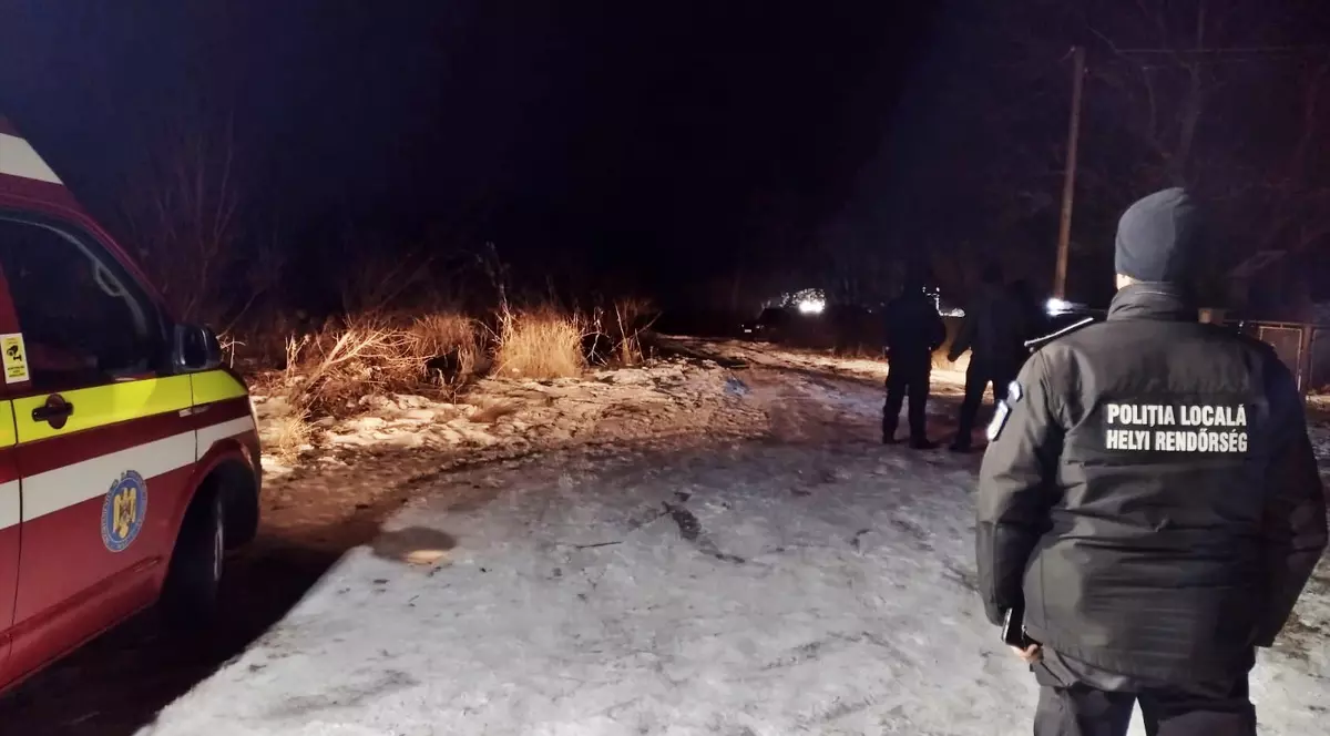 O ursoaică și unul dintre puii ei au fost împușcați pe o stradă din Odorheiu Secuiesc, după ce au devenit agresivi