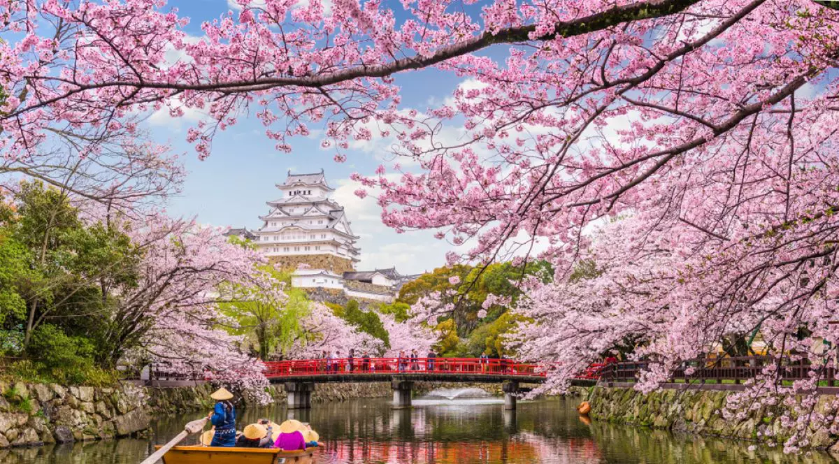 Japonia - curiozităţi despre Ţara Soarelui Răsare