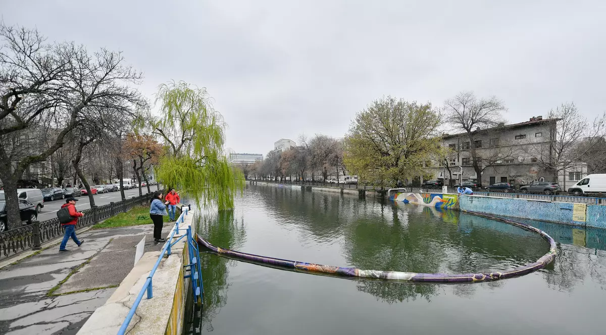Ce facem cu Dâmbovița? Încercările de salvare a râului din București seacă sub plastic și gunoaie