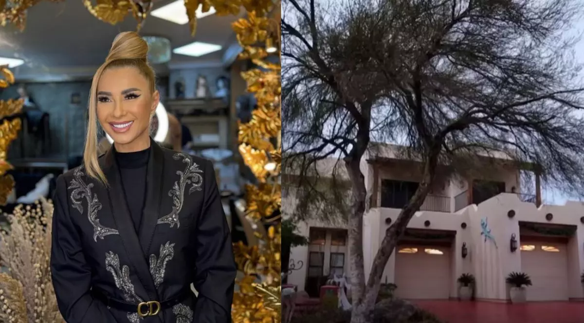 Anamaria Prodan - casă Las Vegas