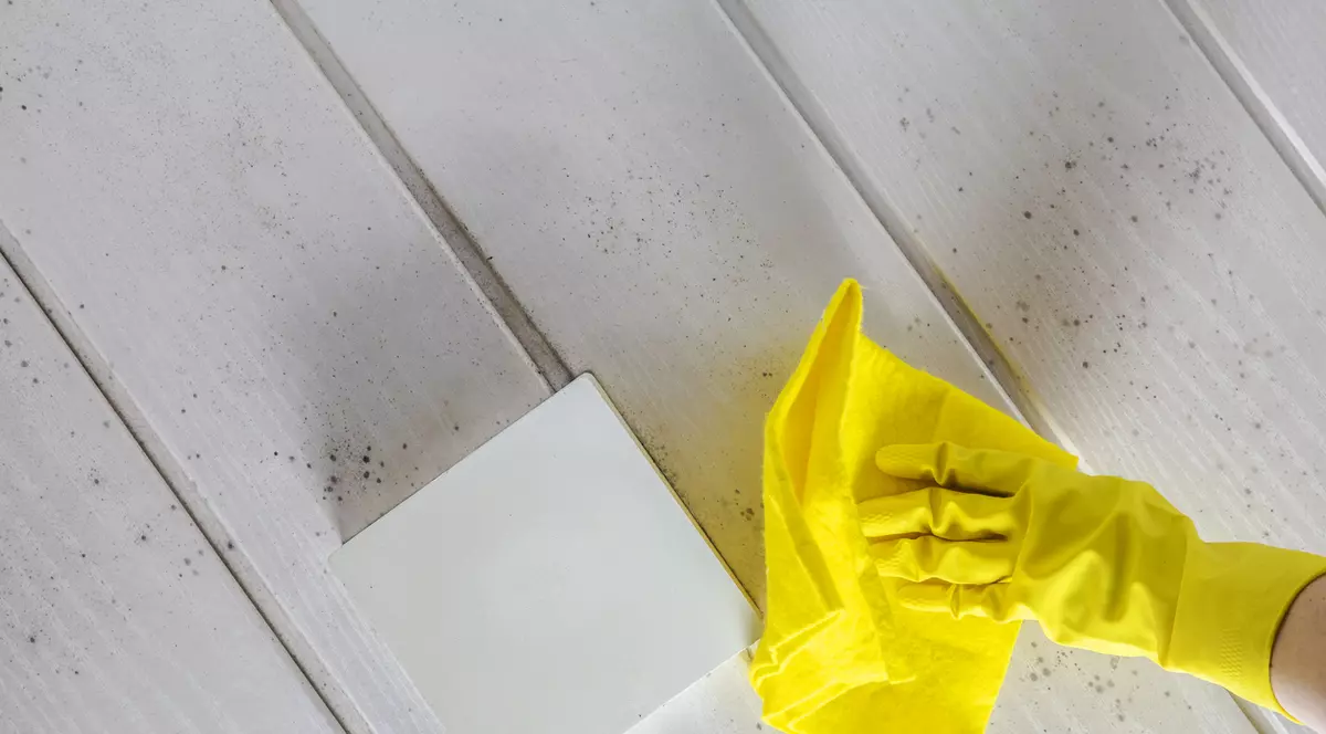 Mucegaiul îți dă bătăi de cap? Încearcă aceste soluții eficiente