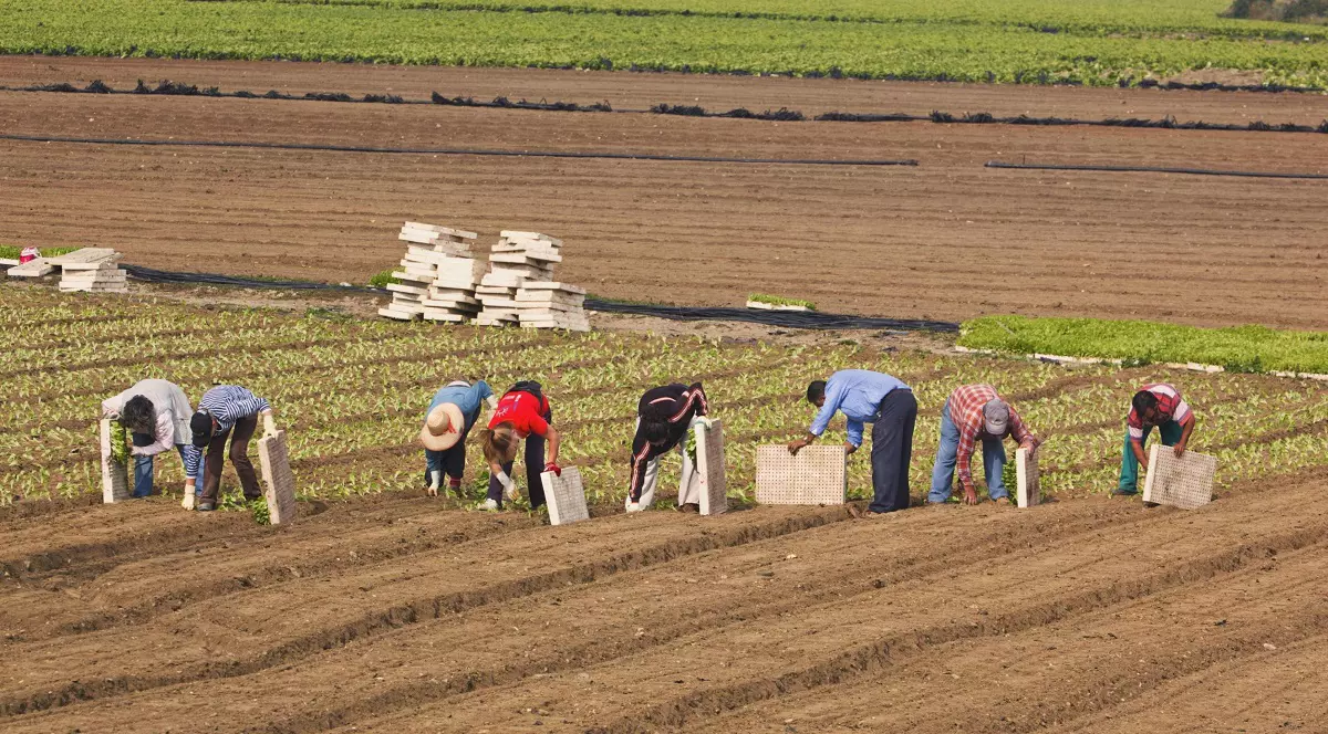 Un român din Spania pentru care procuratura a cerut 45 de ani de închisoare a primit o pedeapsă de doi ani, dar nu va merge nicio zi la închisoare