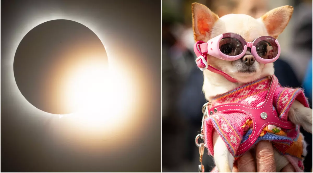 Cele mai spectaculoase 13 imagini cu eclipsa totală de Soare care a fost vizibilă în America de Nord