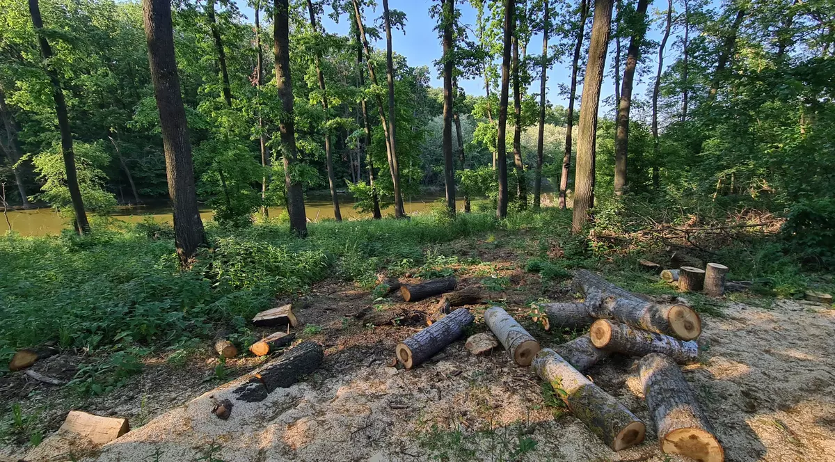Foto: Alex Găvan / Centura Verde București-Ilfov